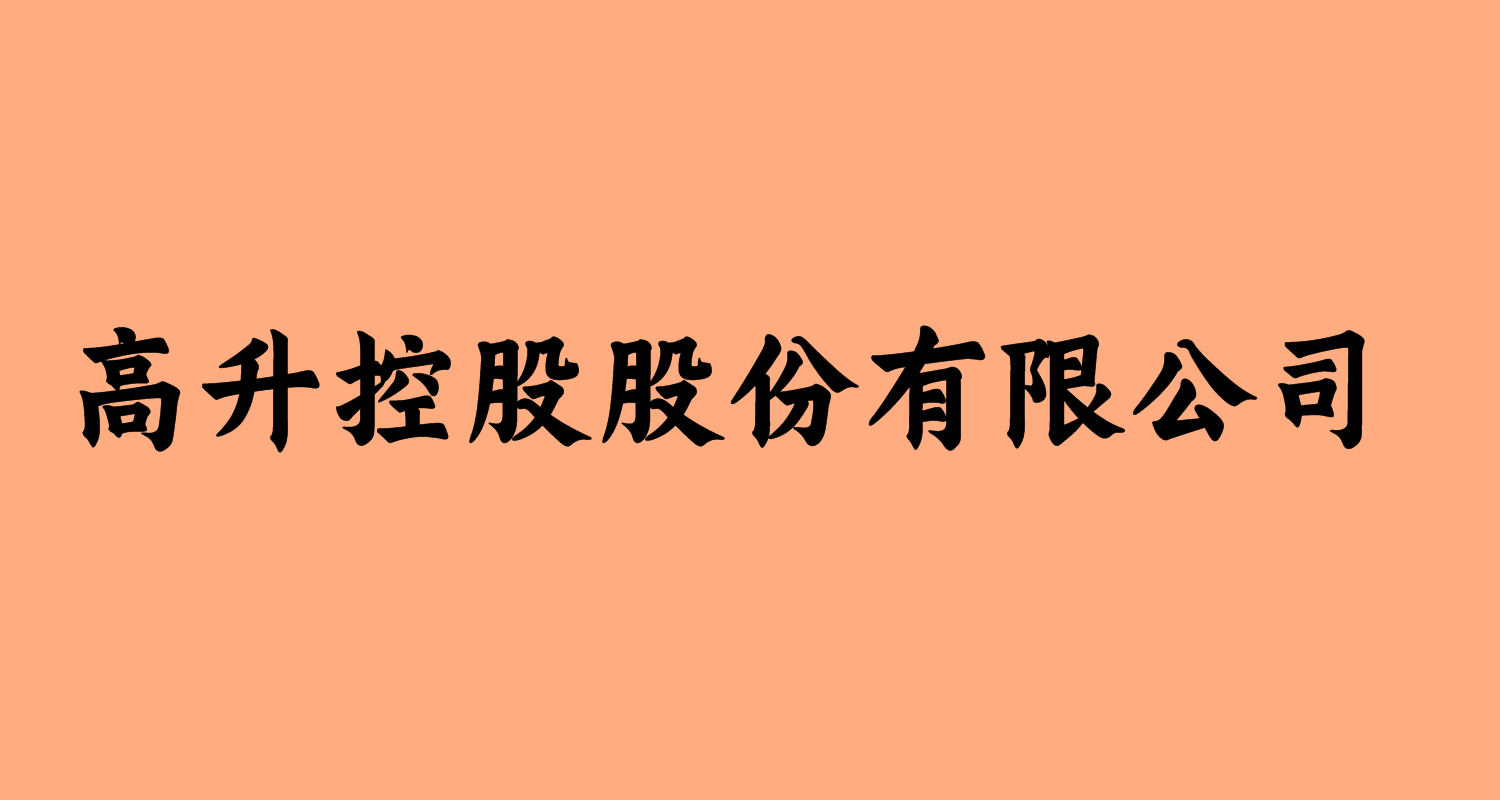 高升控股股份有限公司