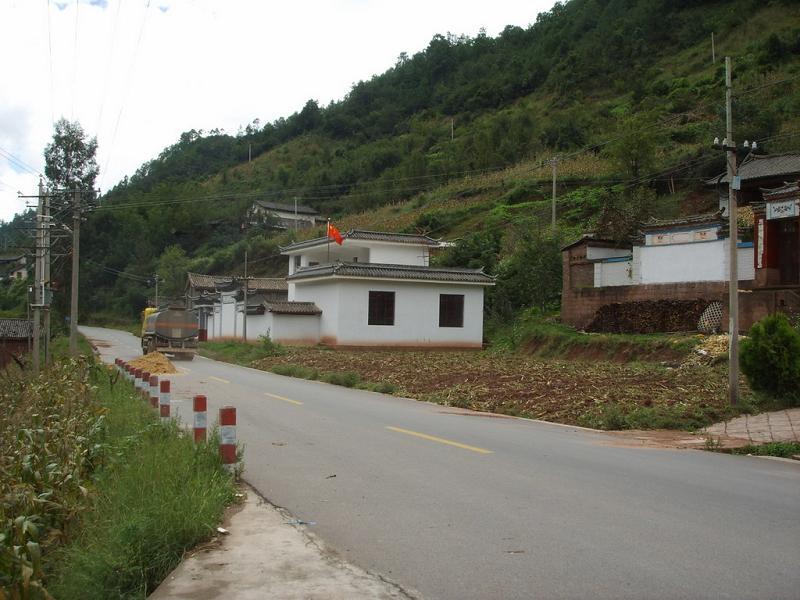 顺荡村