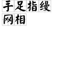 手足指縵網(wǎng)相