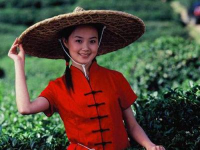 茶歌茶舞