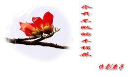 一朵永開不敗的花