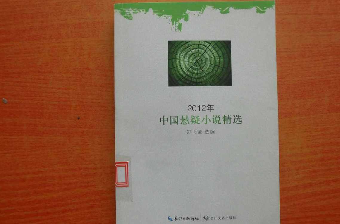 2012年中国悬疑小说精选