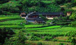 杜家坪村