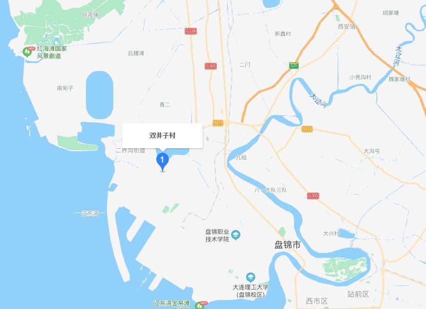 双井子村