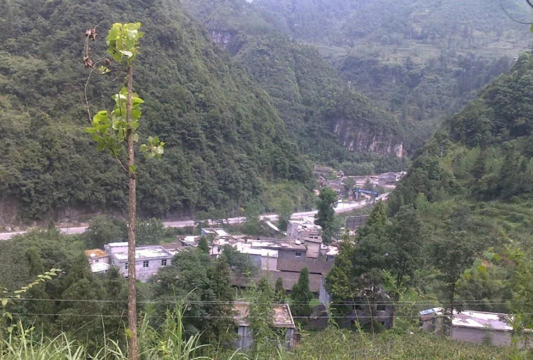 酉陽龍?zhí)舵?zhèn)