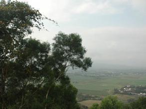 东山秋月