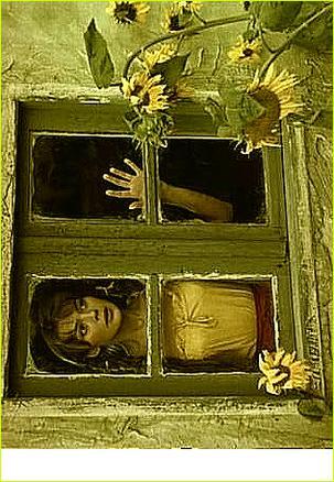 當(dāng)天使墜落