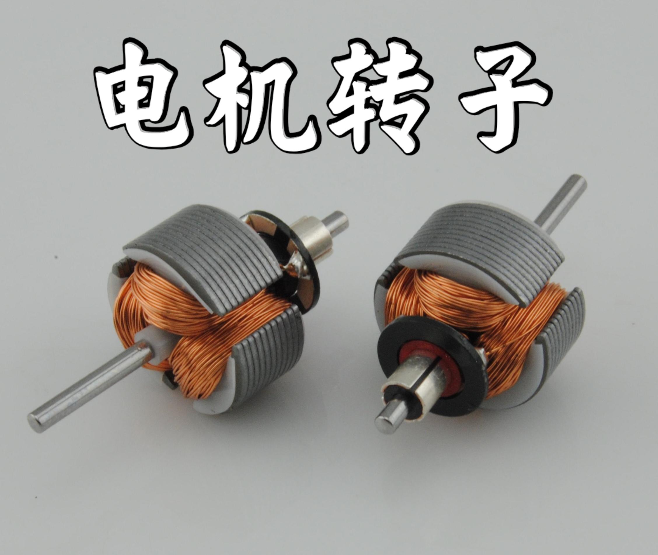 電機(jī)轉(zhuǎn)子