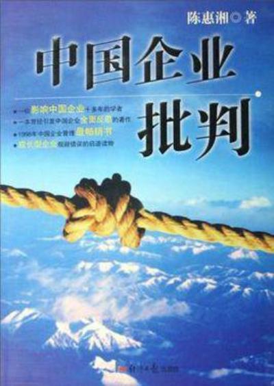 中国企业批判