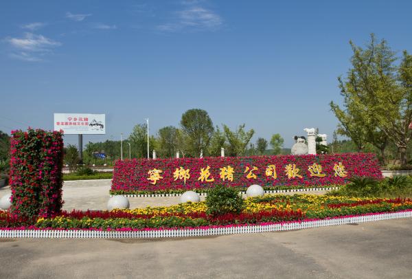 寧鄉(xiāng)花豬產(chǎn)業(yè)發(fā)展有限公司