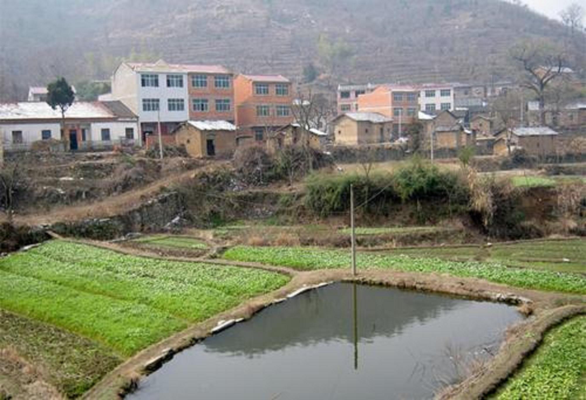 李将夏村