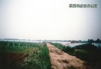 斛斗村
