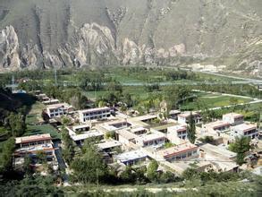 石板沟村