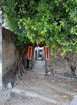 玉湖村