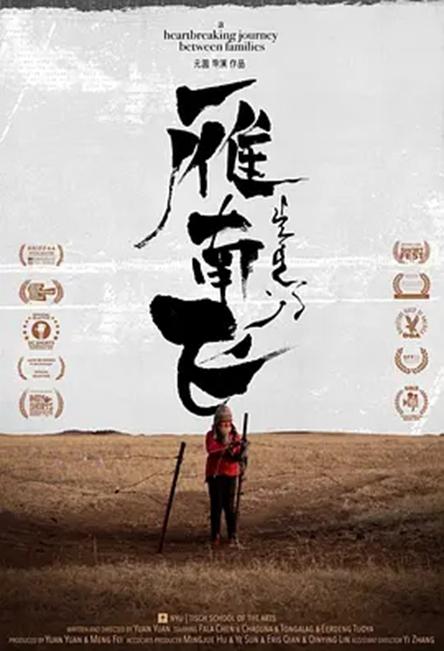 雁南飞