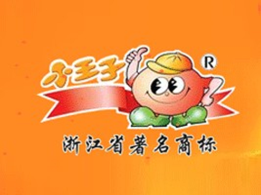 浙江小王子食品股份有限公司