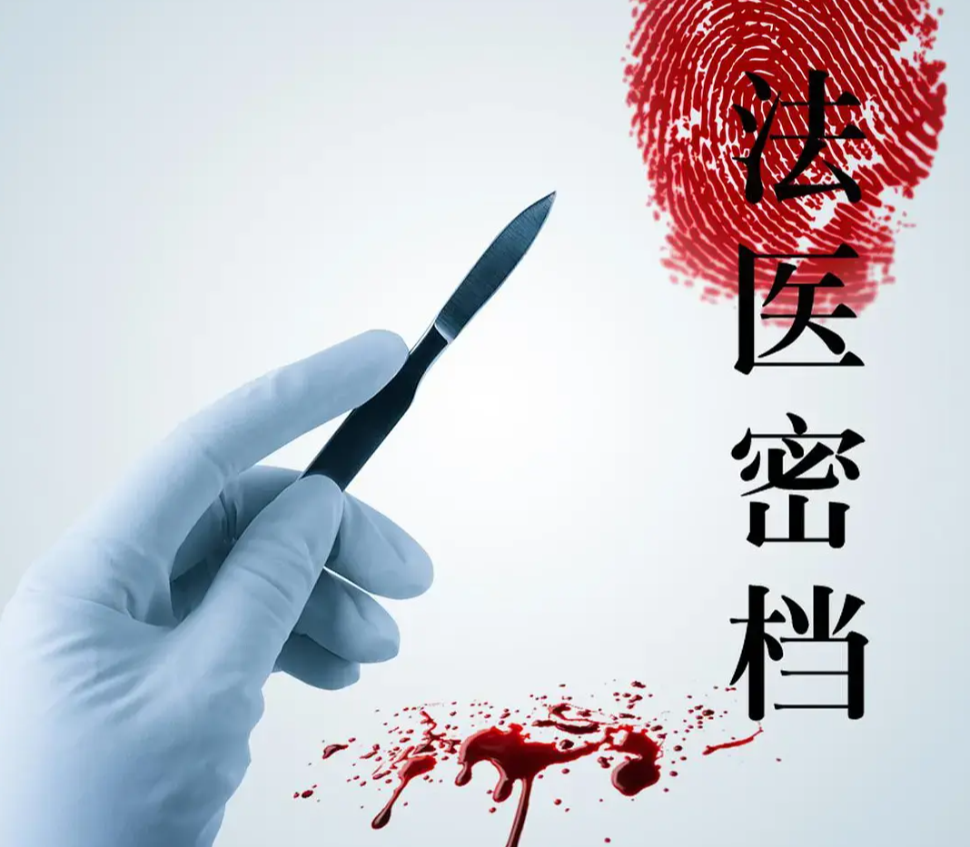 法医密档