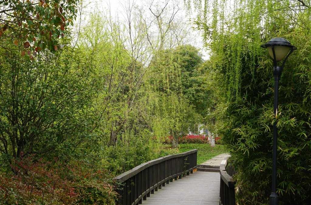 大阳垾湿地公园