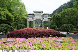 云碧峰