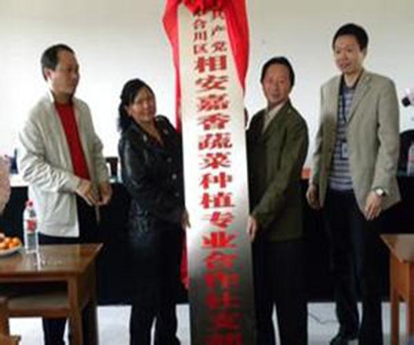 農(nóng)民專業(yè)合作經(jīng)濟(jì)組織