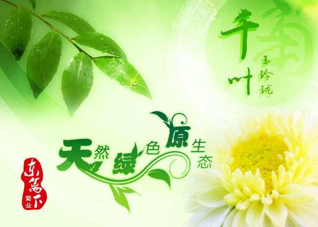 東籬下菊業(yè)