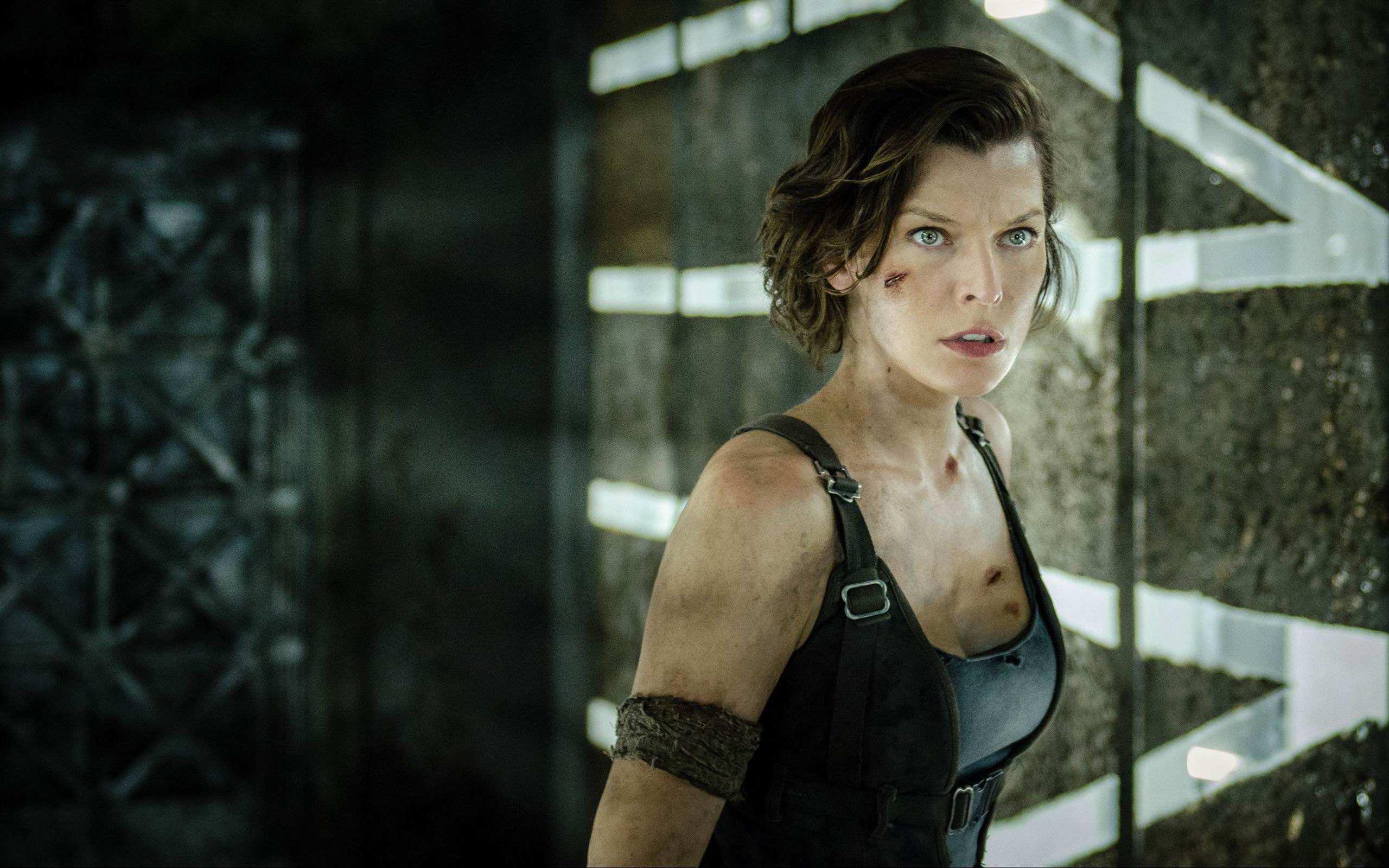 正統(tǒng)的姿態(tài)