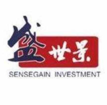 盛世景資產(chǎn)管理集團(tuán)股份有限公司