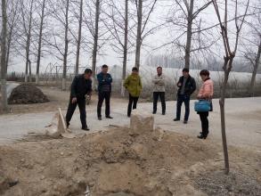 后李洼村