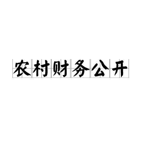 農(nóng)村財(cái)務(wù)公開