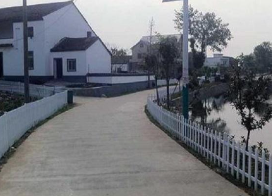 金坝村