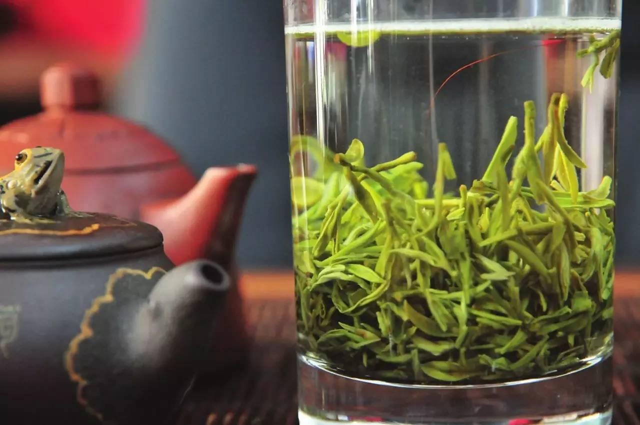 毫茶