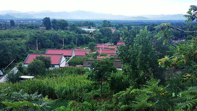 白草洼村