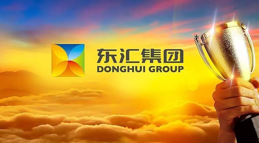 海南东汇集团