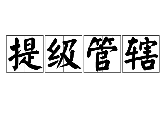 提级管辖
