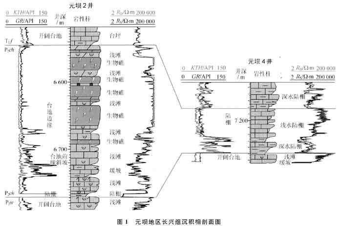 白云石化作用