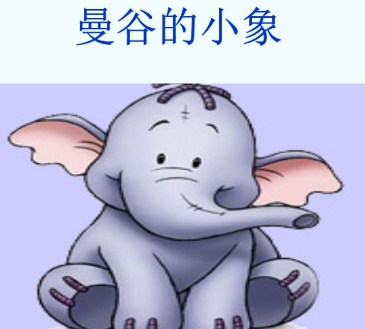 曼谷的小象