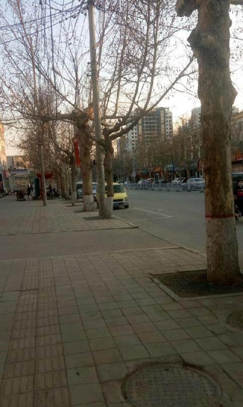 东鲁街道