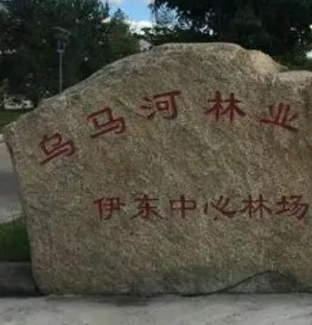 伊东林场