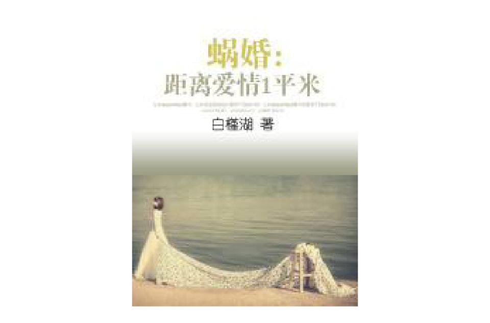 蝸婚：距離愛(ài)情1平米