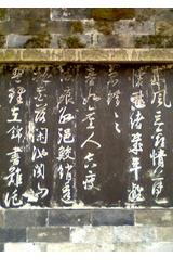 衩頭鳳