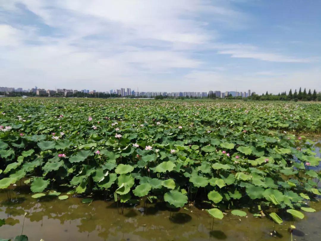 白霞村