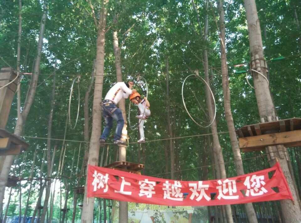 樹上穿越