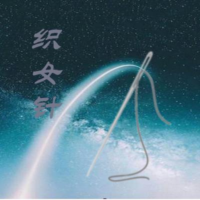 织女针