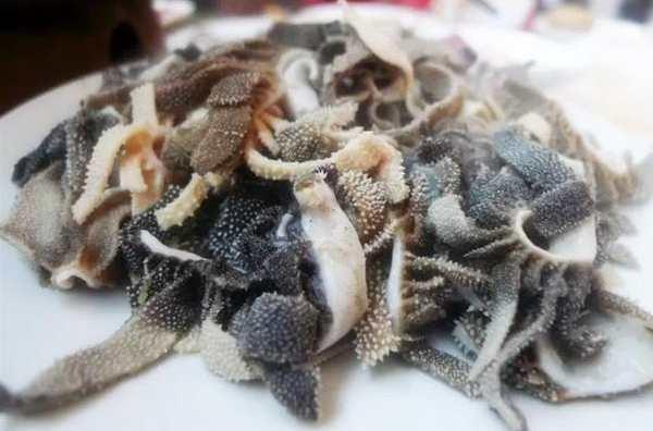 金生隆爆肚