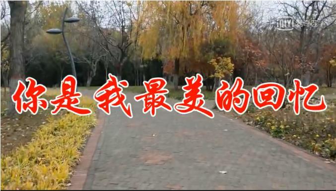 你是我最美的回憶