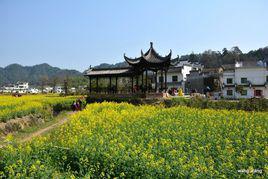 溪头村
