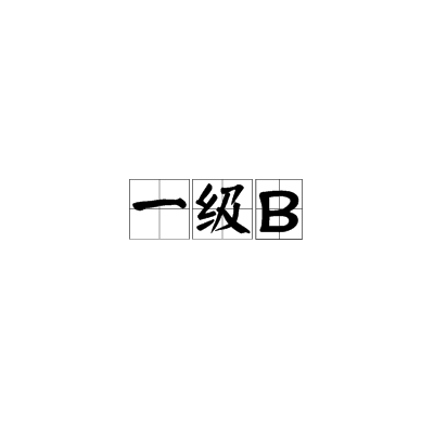 一级B