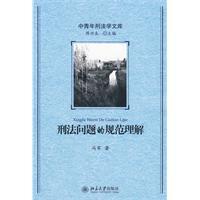 刑法问题的规范理解