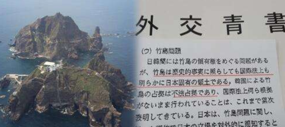 外交蓝皮书