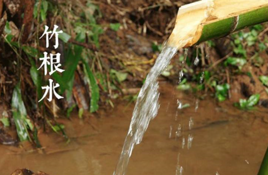 竹根水